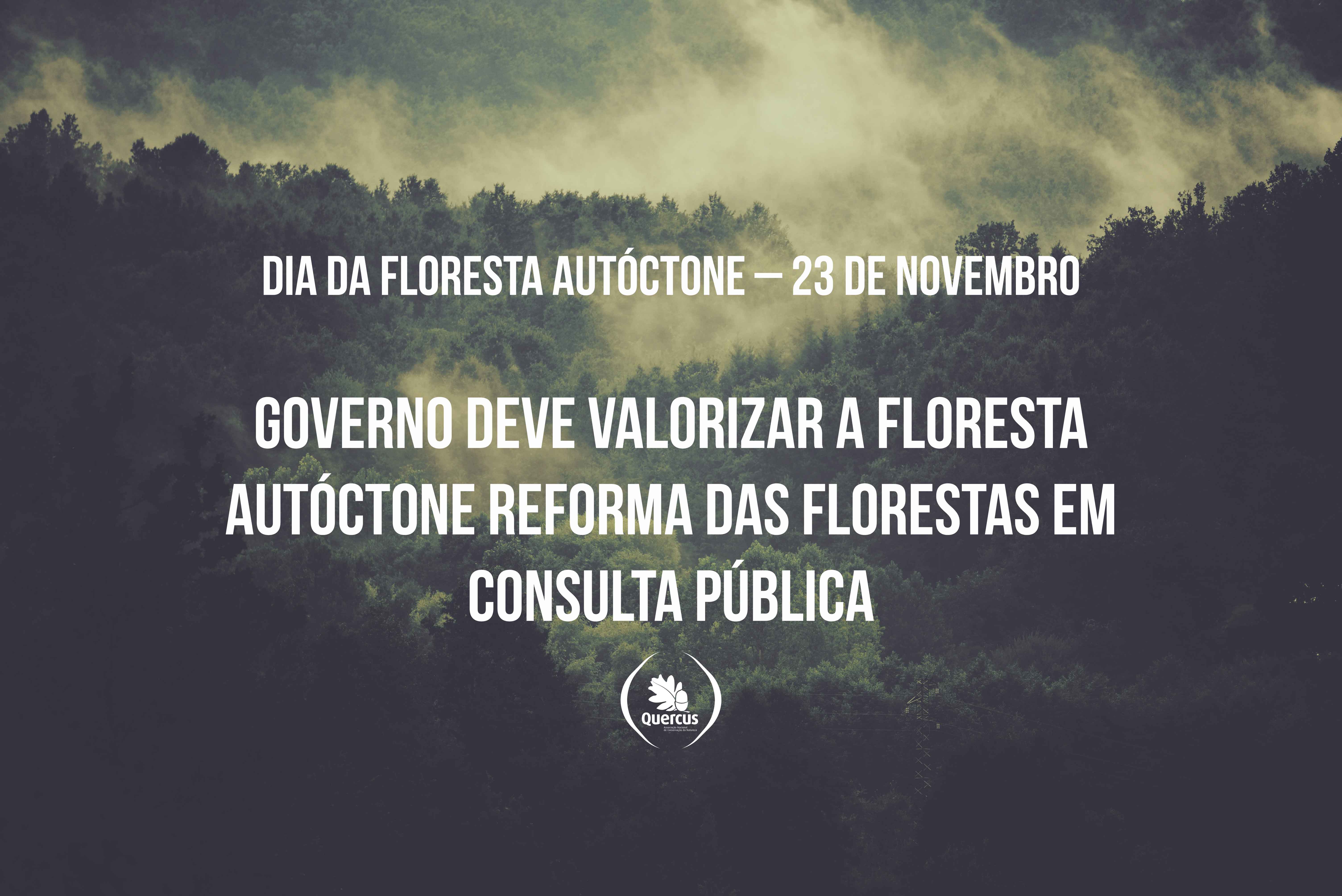 Dia da Floresta Autoctone 23 de Novembro Governo deve valorizar a Floresta Autoctone Reforma das Florestas em consulta publica 