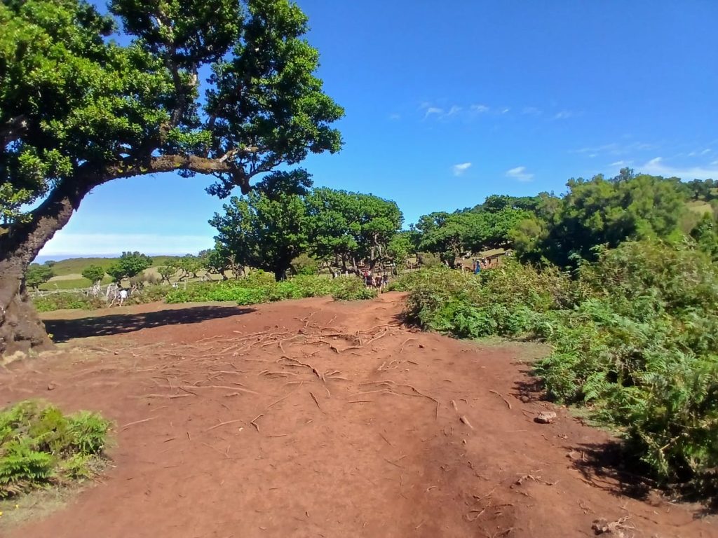 Fanal