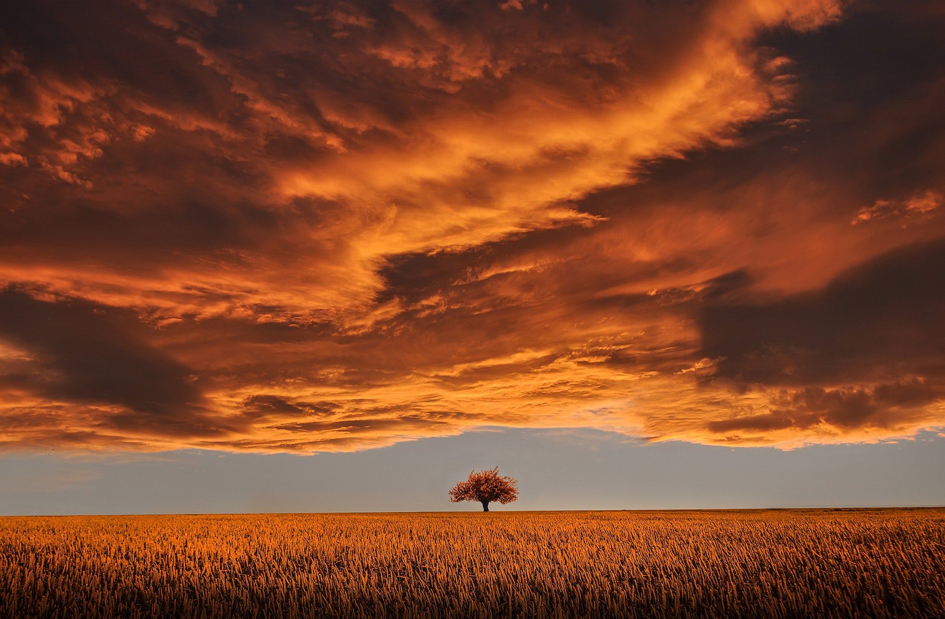 Quercus – Associação Nacional de Conservação da Natureza